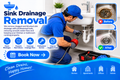 Sink drainage removal